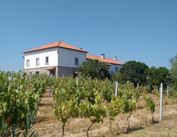 Quinta De Vodra Villa Seia Dış mekan fotoğraf