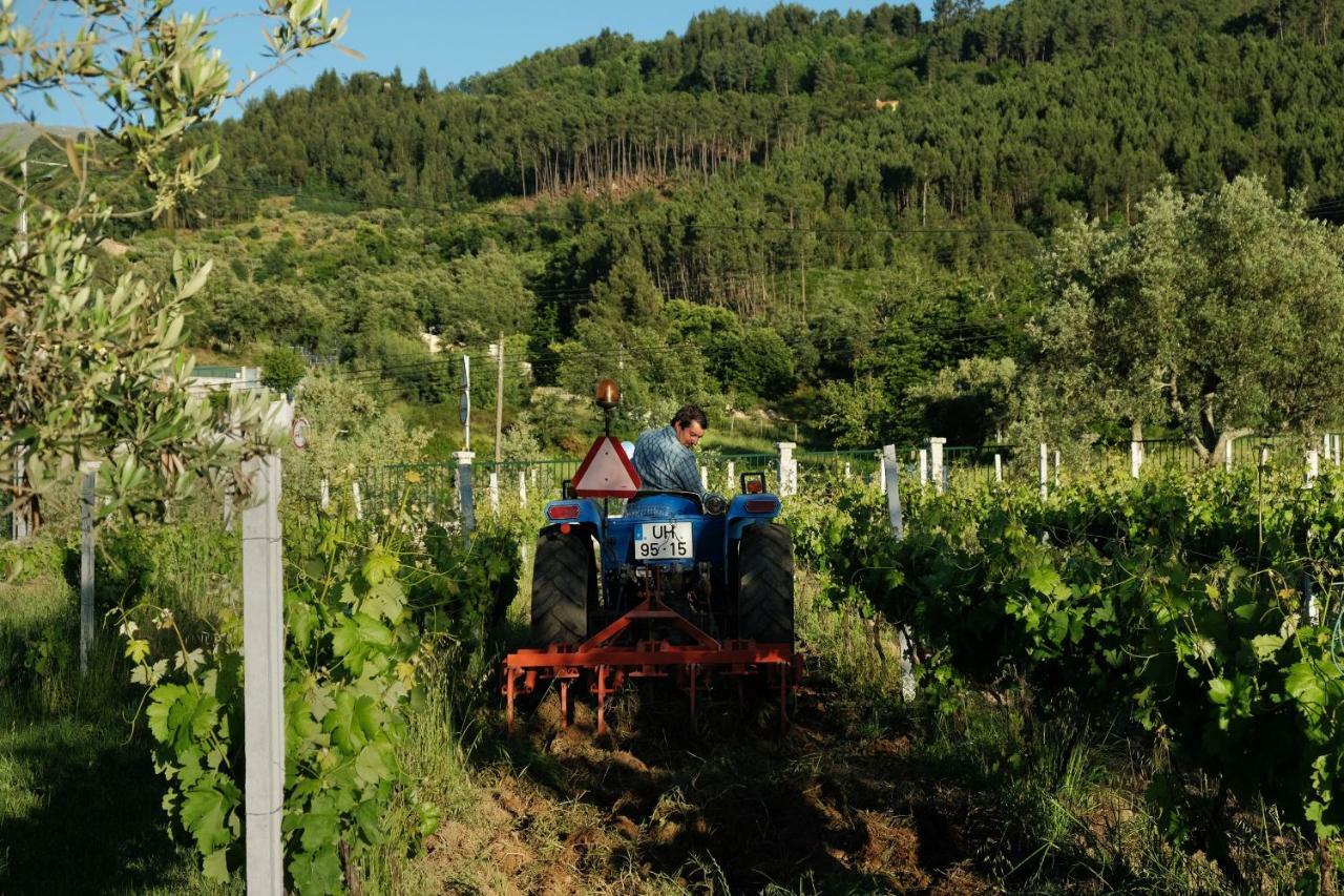 Quinta De Vodra Villa Seia Dış mekan fotoğraf