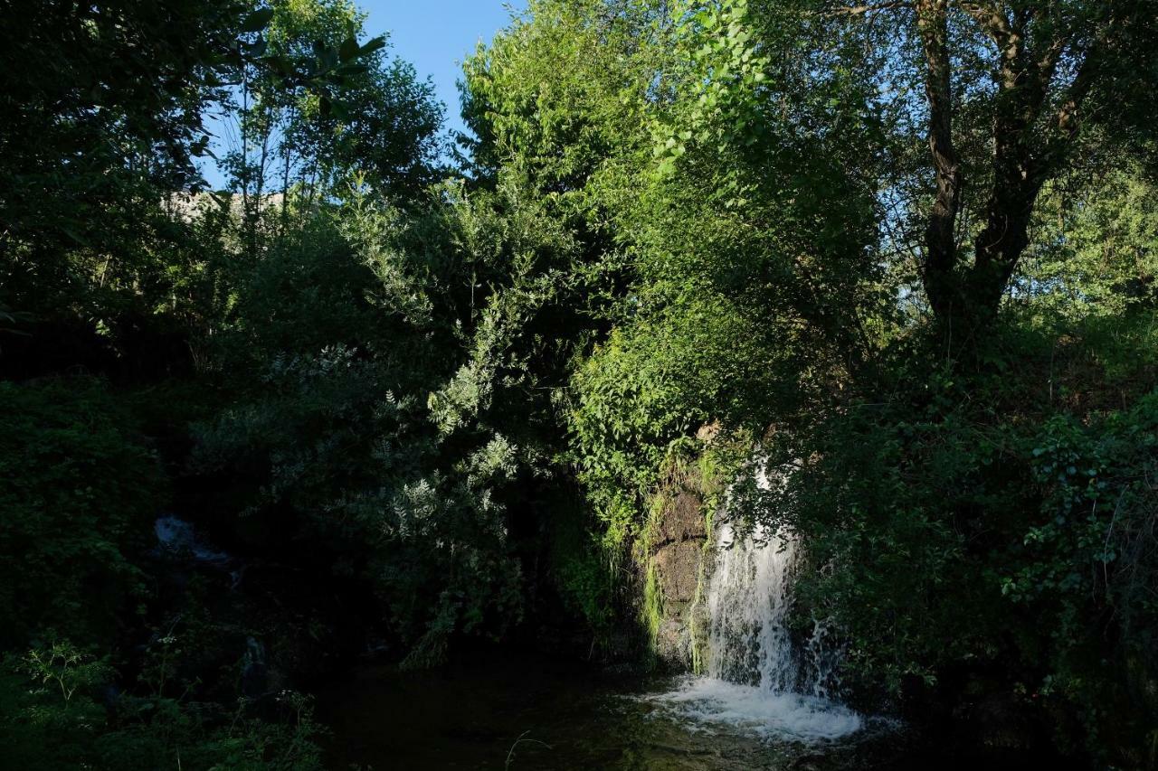Quinta De Vodra Villa Seia Dış mekan fotoğraf